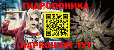 амф Гусев