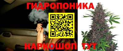 mix Гусиноозёрск