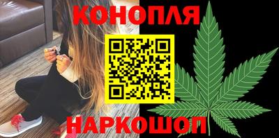 амф Гусев